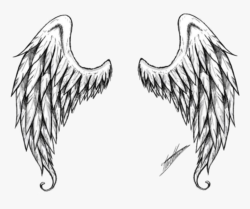 Detail Wings Drawing Png Nomer 11