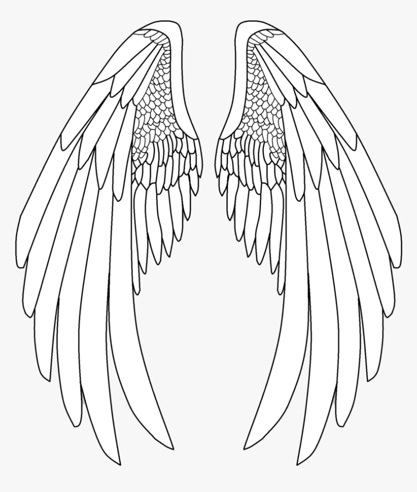 Detail Wings Drawing Png Nomer 13