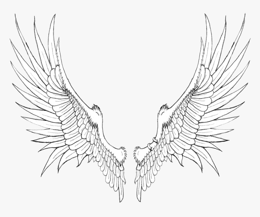 Detail Wings Drawing Png Nomer 18