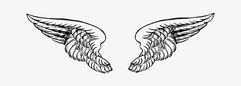 Detail Wings Drawing Png Nomer 21