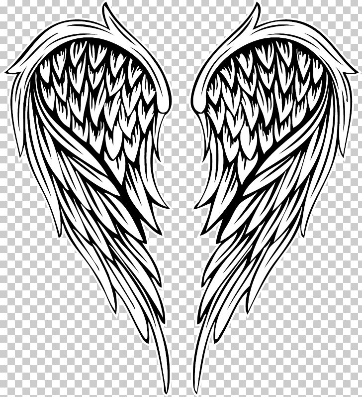 Detail Wings Drawing Png Nomer 22