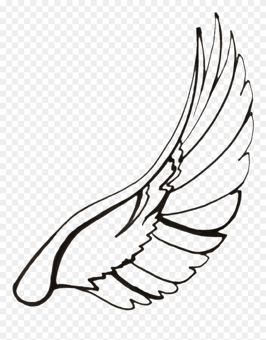 Detail Wings Drawing Png Nomer 35