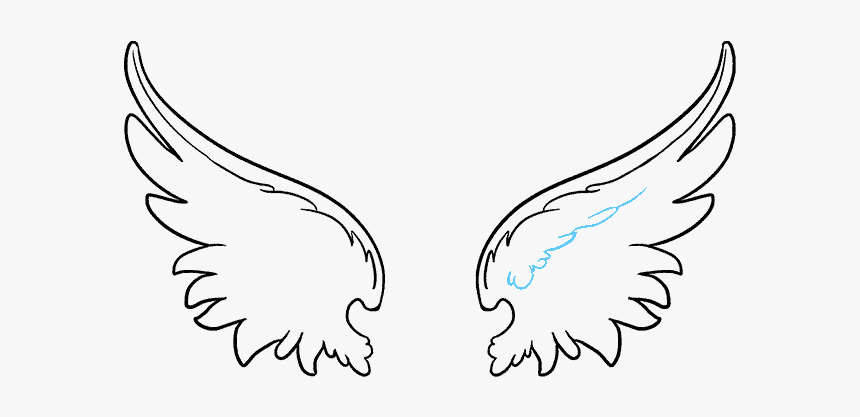 Detail Wings Drawing Png Nomer 6