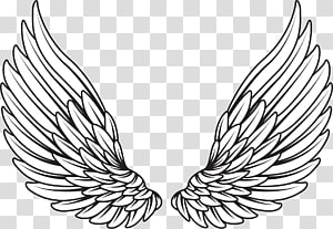 Detail Wings Drawing Png Nomer 8