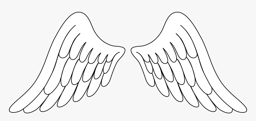 Detail Wings Drawing Png Nomer 9