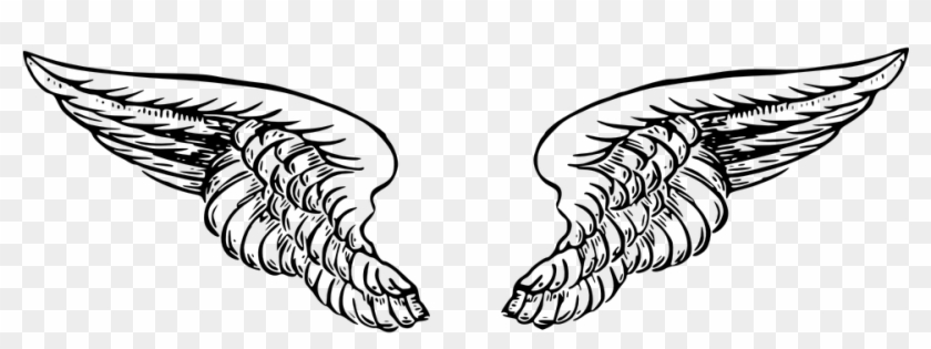 Detail Wings Drawing Png Nomer 10