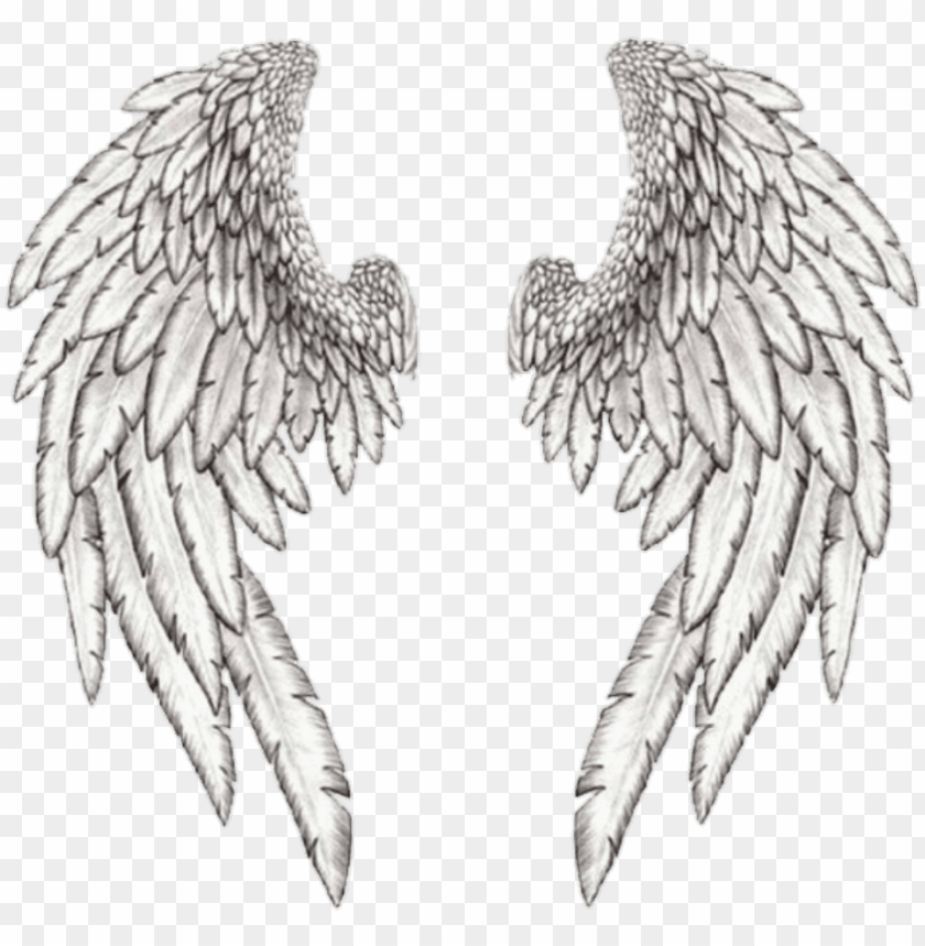 Detail Wings For Editing Nomer 24