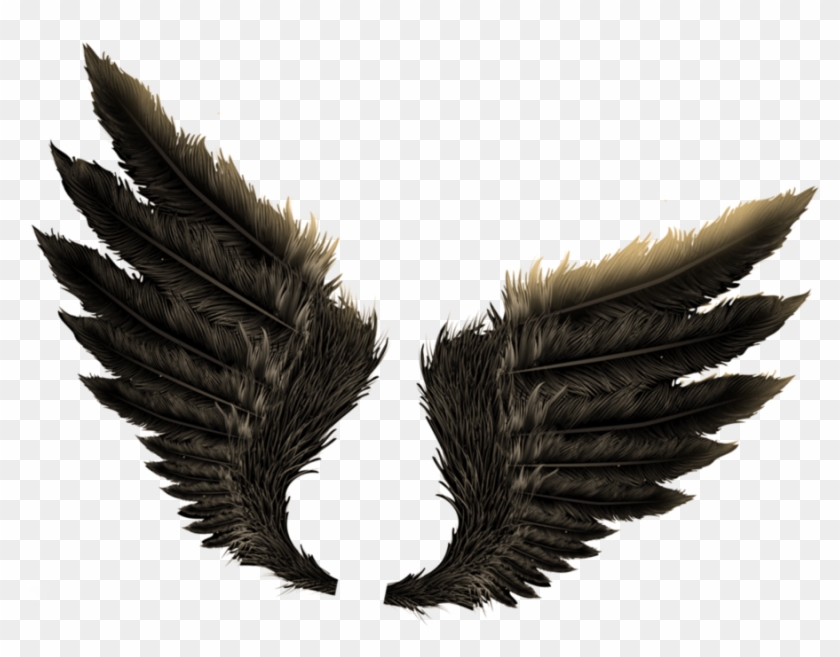 Detail Wings For Editing Nomer 4