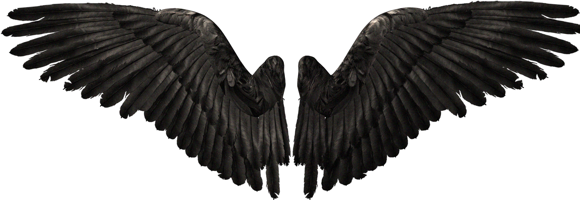 Detail Wings Hd Nomer 11