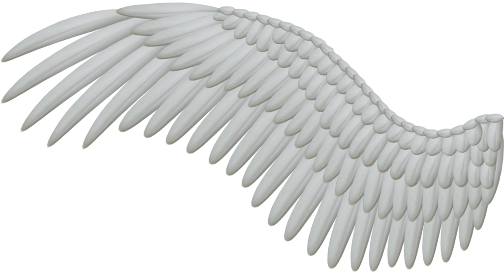 Detail Wings Hd Nomer 20