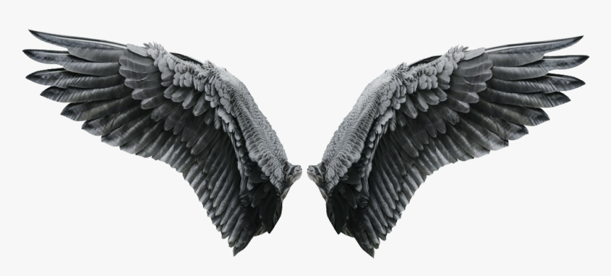 Detail Wings Hd Nomer 5