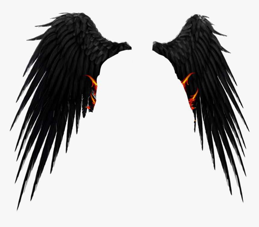Detail Wings Hd Nomer 41