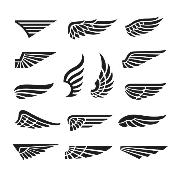 Wings Logo Vector - KibrisPDR