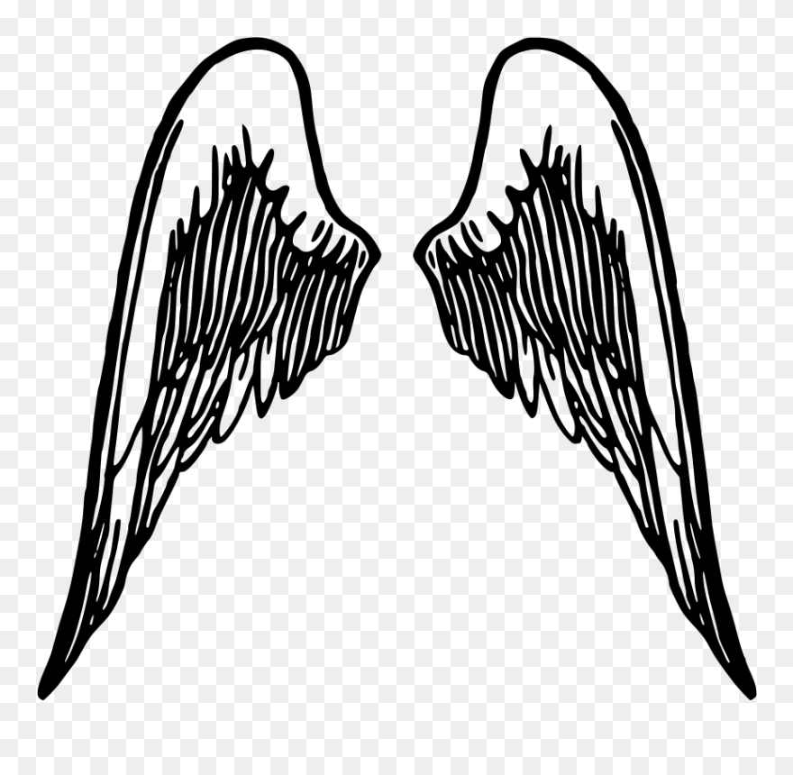 Detail Wings No Background Nomer 28