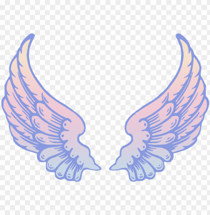 Detail Wings No Background Nomer 33