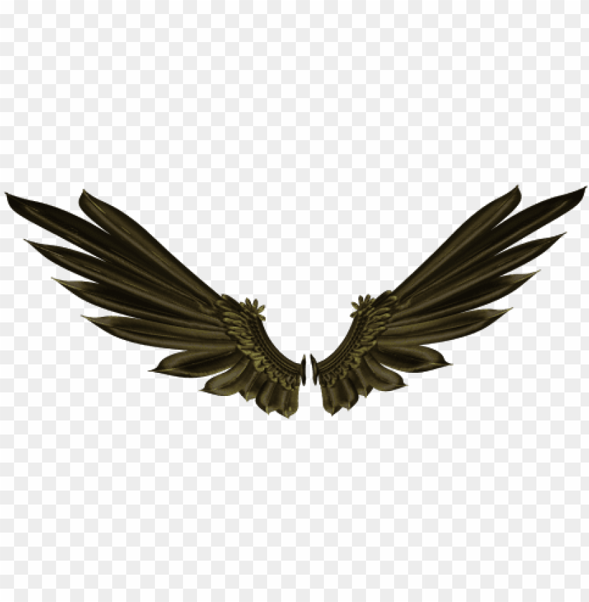 Detail Wings No Background Nomer 42