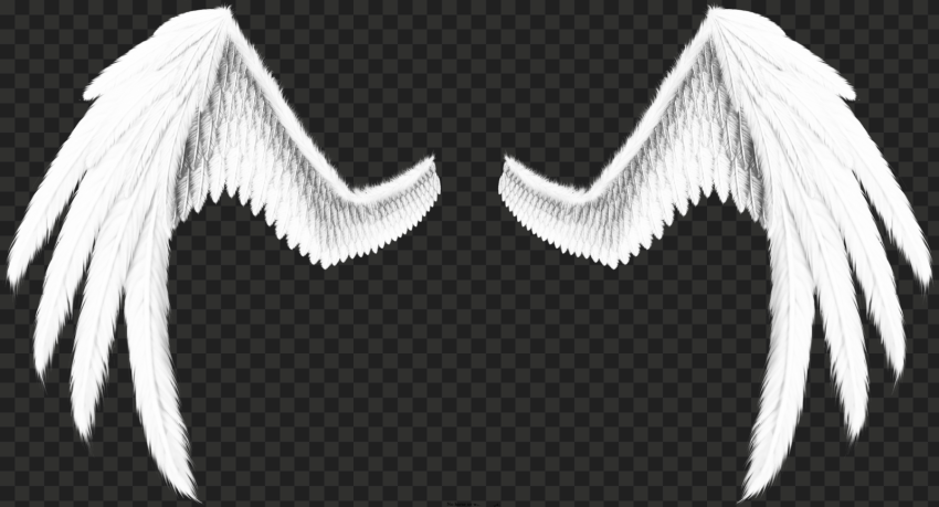 Detail Wings No Background Nomer 53