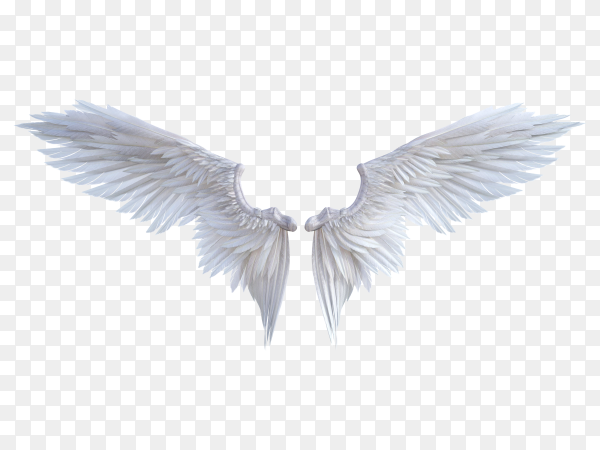 Detail Wings No Background Nomer 6