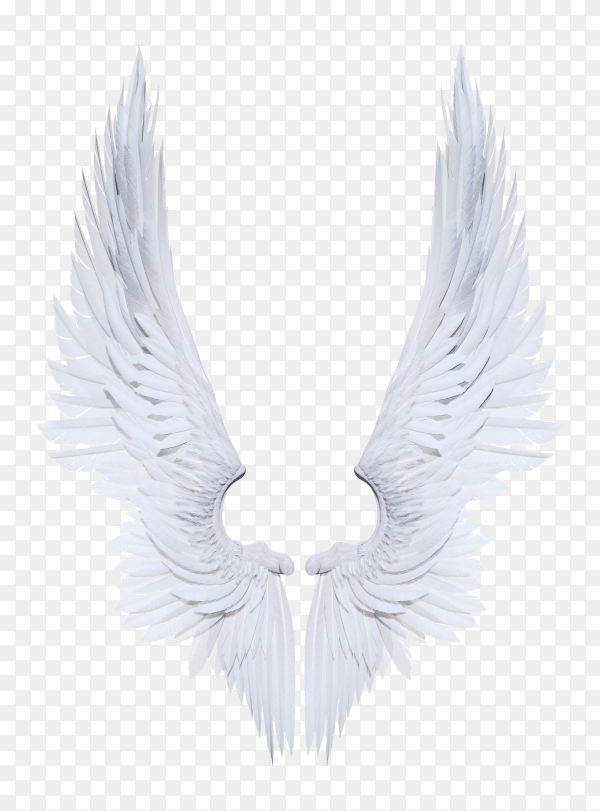 Detail Wings No Background Nomer 9