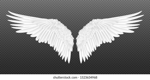 Detail Wings Picture Nomer 2