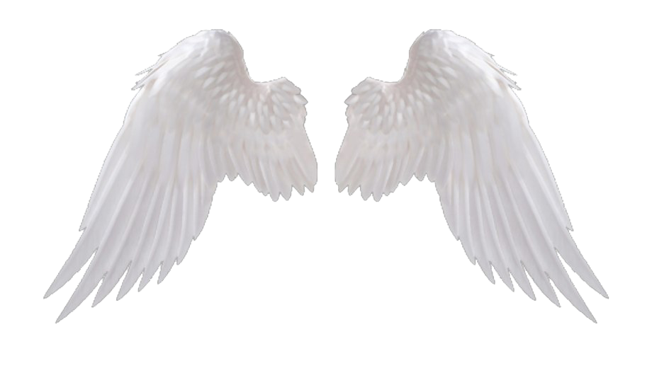 Detail Wings Png Clipart Nomer 25