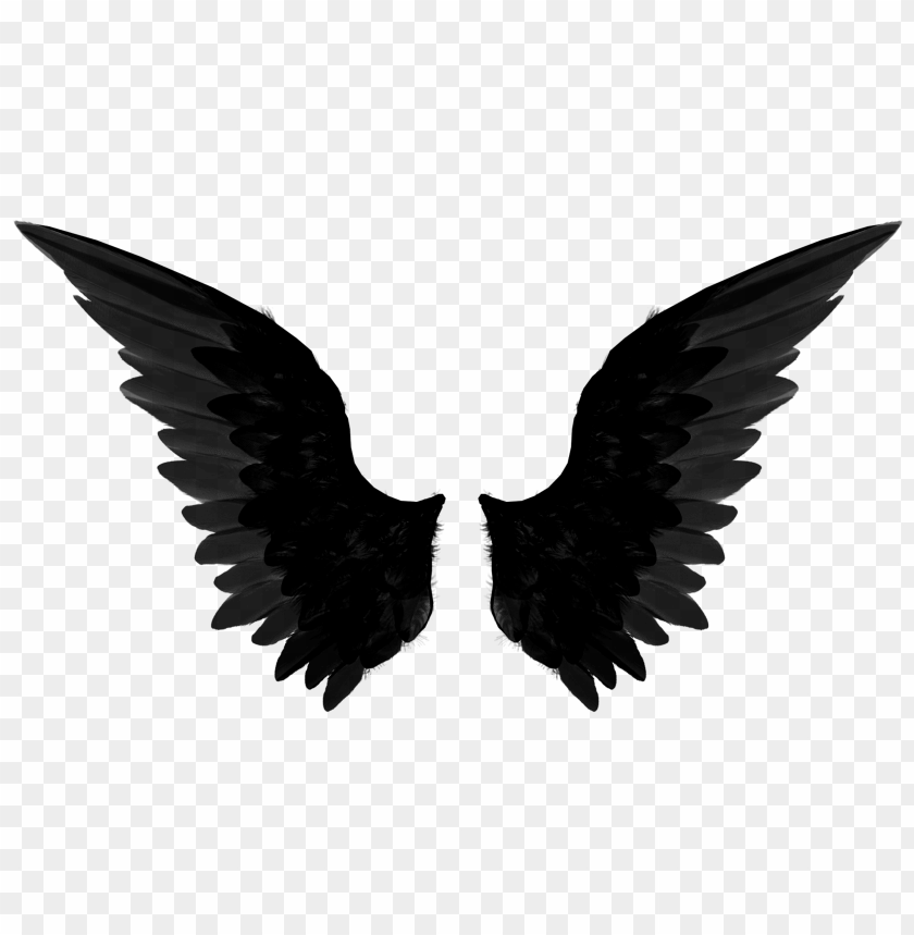 Detail Wings Png Clipart Nomer 31