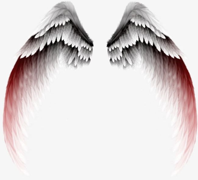 Detail Wings Png Clipart Nomer 38