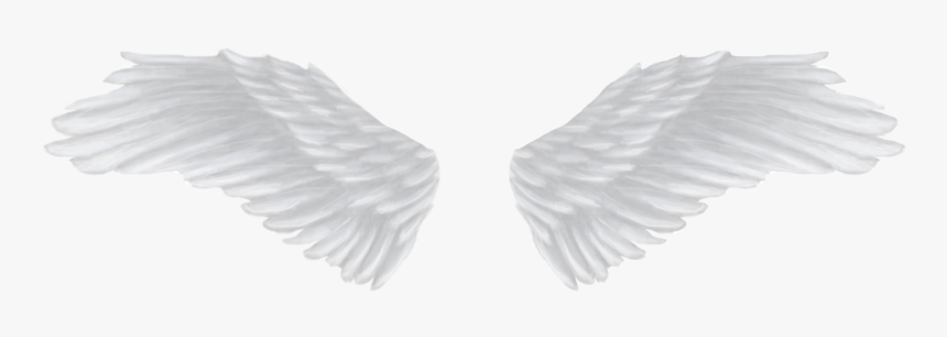 Detail Wings Png Transparent Nomer 2