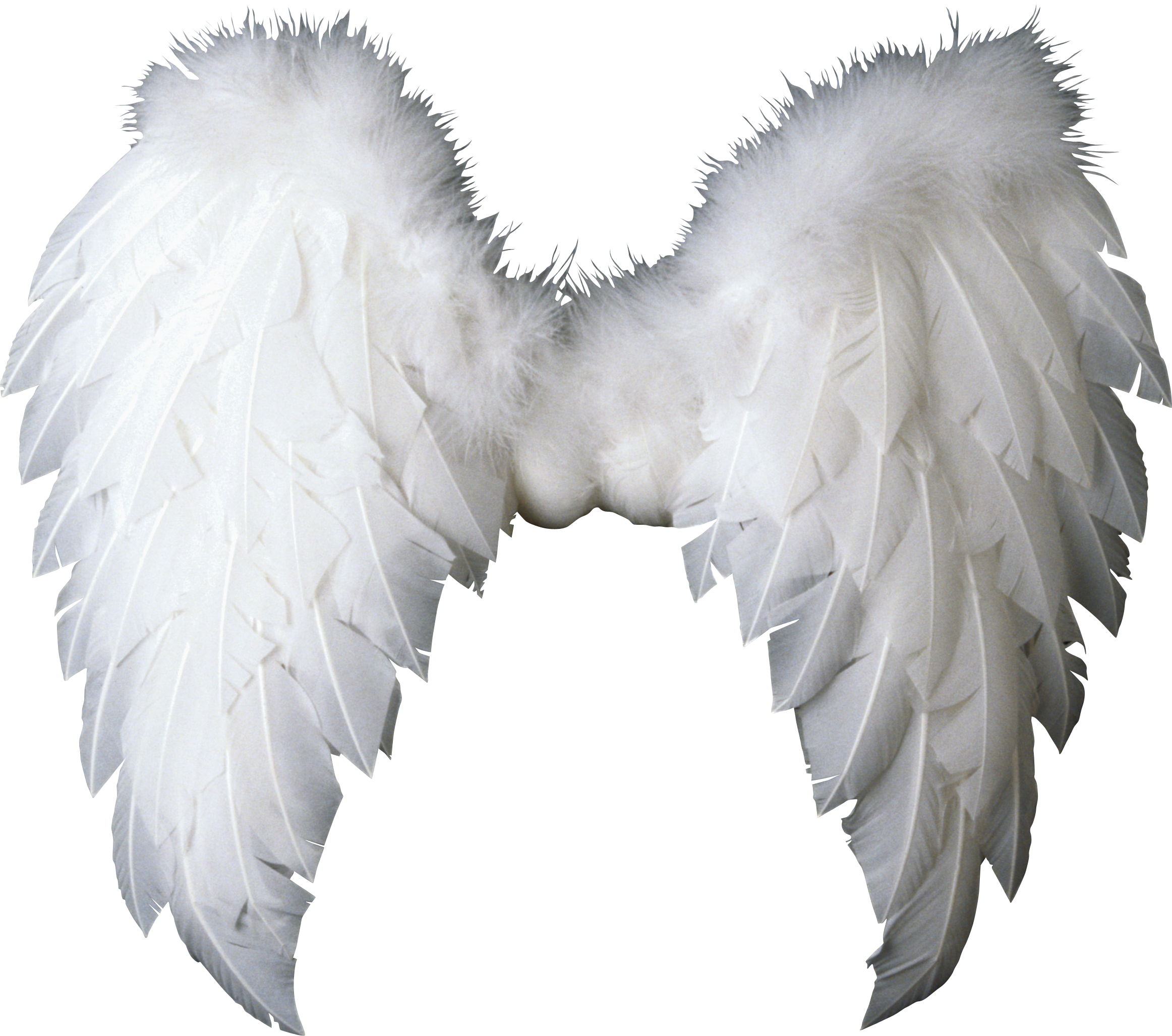 Detail Wings Png Transparent Nomer 22