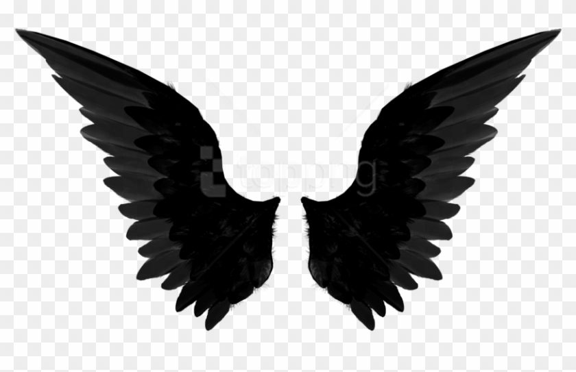 Detail Wings Png Transparent Nomer 40