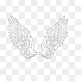 Detail Wings Png Transparent Nomer 42