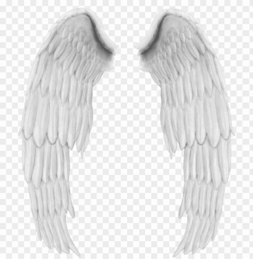 Detail Wings Png Transparent Nomer 49