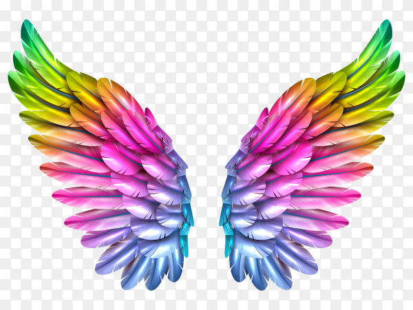 Detail Wings Png Transparent Nomer 55