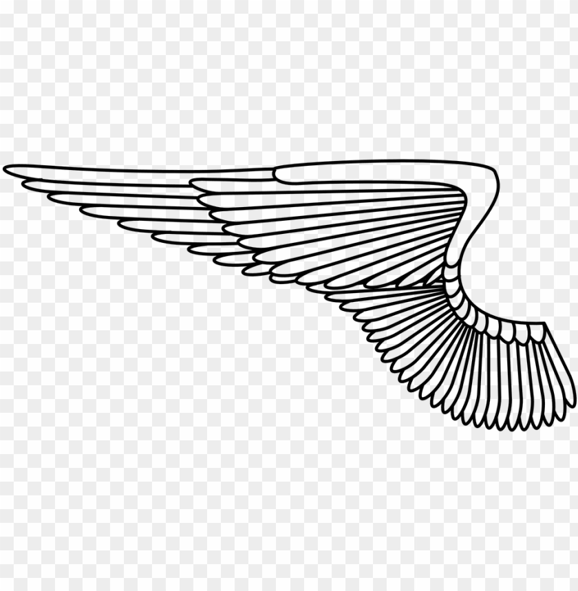 Detail Wings Png Vector Nomer 10