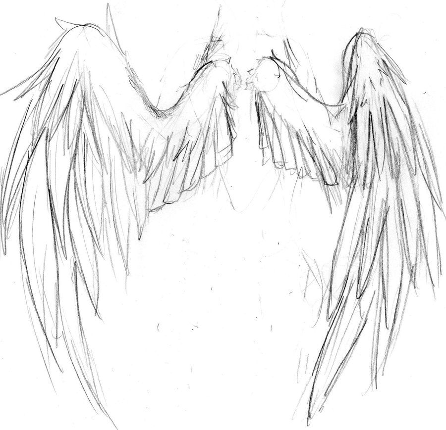 Wings Sketch - KibrisPDR