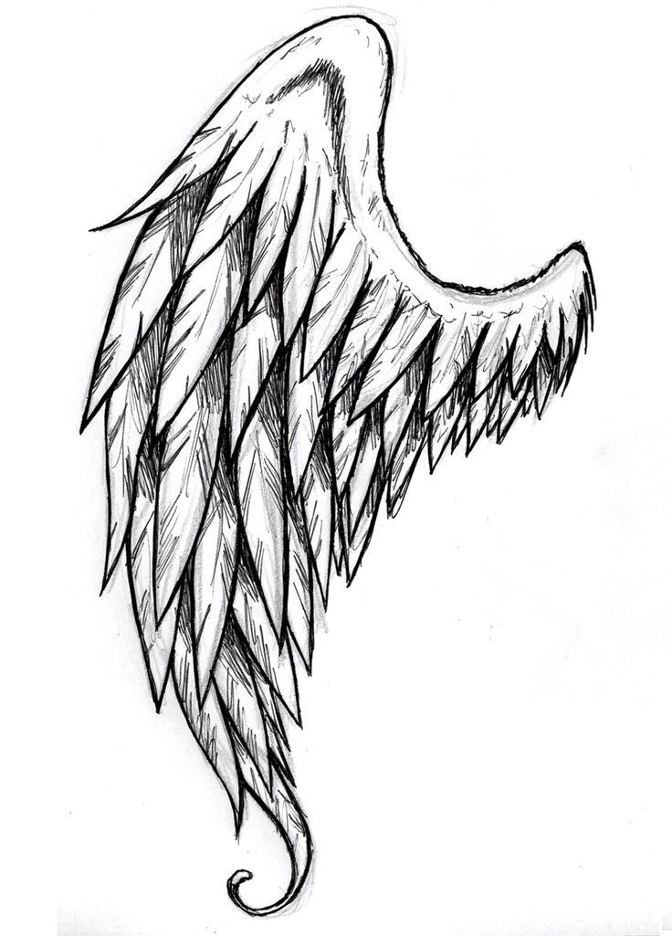 Detail Wings Sketch Nomer 14