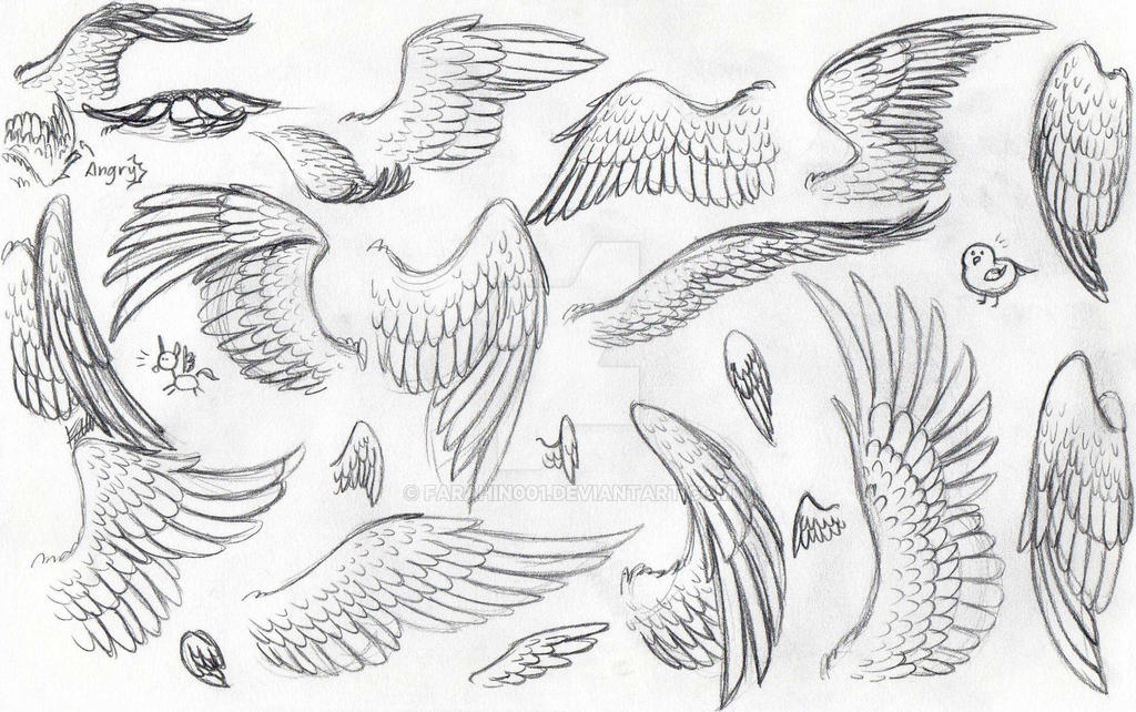 Detail Wings Sketch Nomer 26