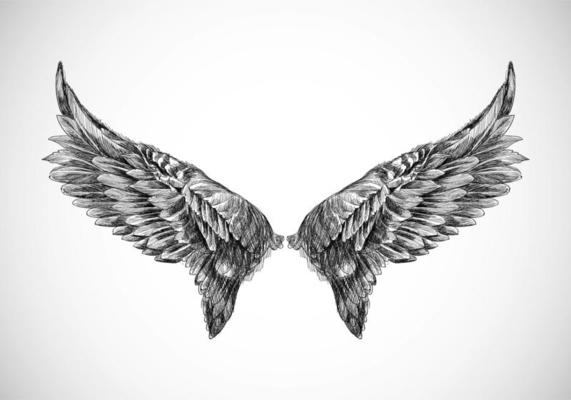 Detail Wings Sketch Nomer 28