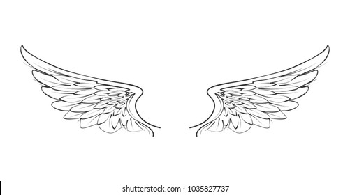 Detail Wings Sketch Nomer 30