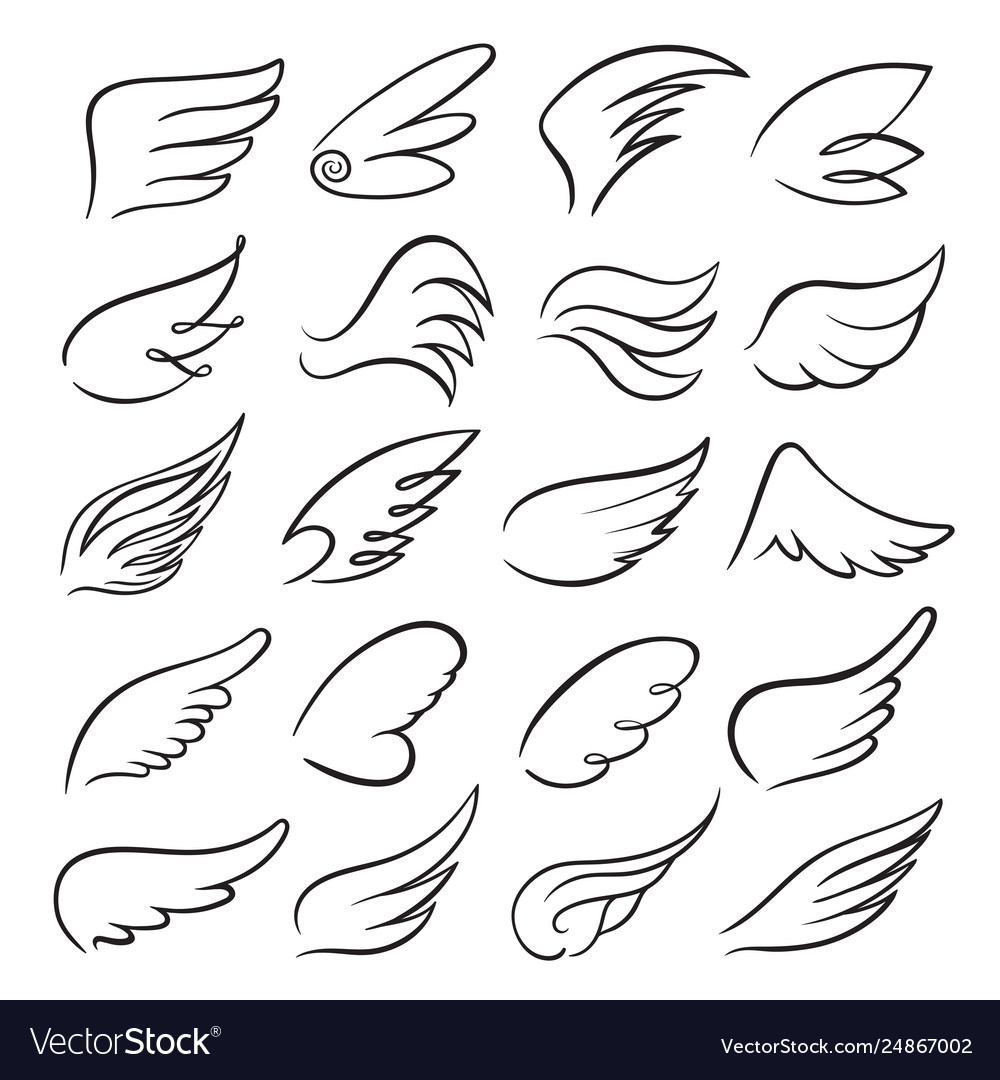 Detail Wings Sketch Nomer 31