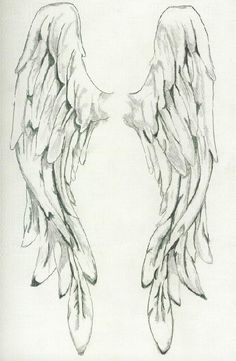 Detail Wings Sketch Nomer 40