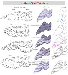 Detail Wings Sketch Nomer 51