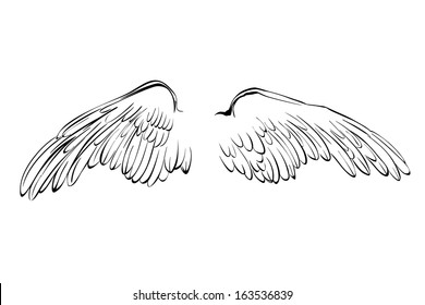 Detail Wings Sketch Nomer 7