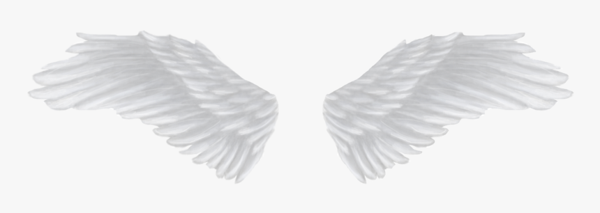 Detail Wings Transparent Background Nomer 10