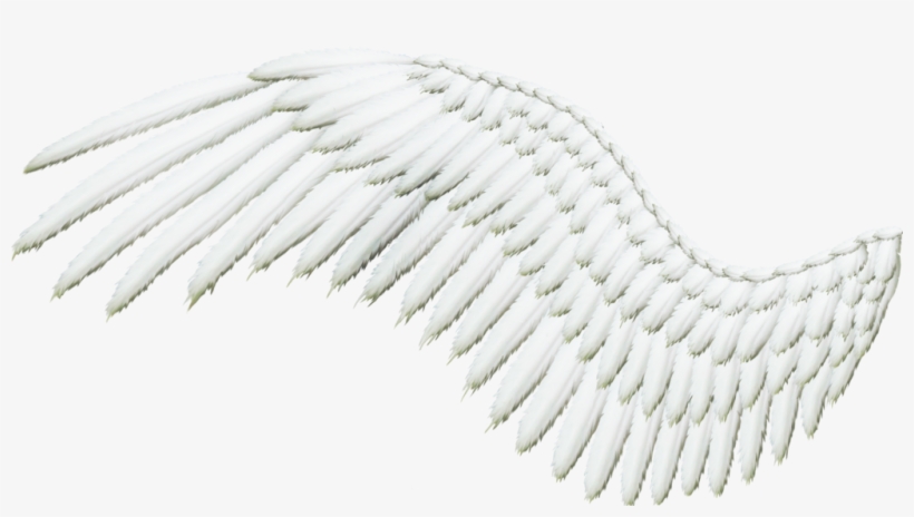 Detail Wings Transparent Background Nomer 20