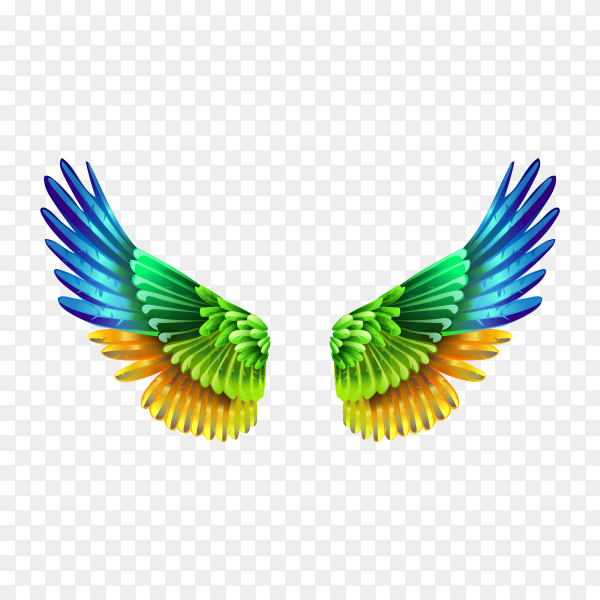 Detail Wings Transparent Background Nomer 32