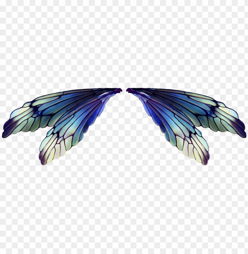 Detail Wings Transparent Background Nomer 33