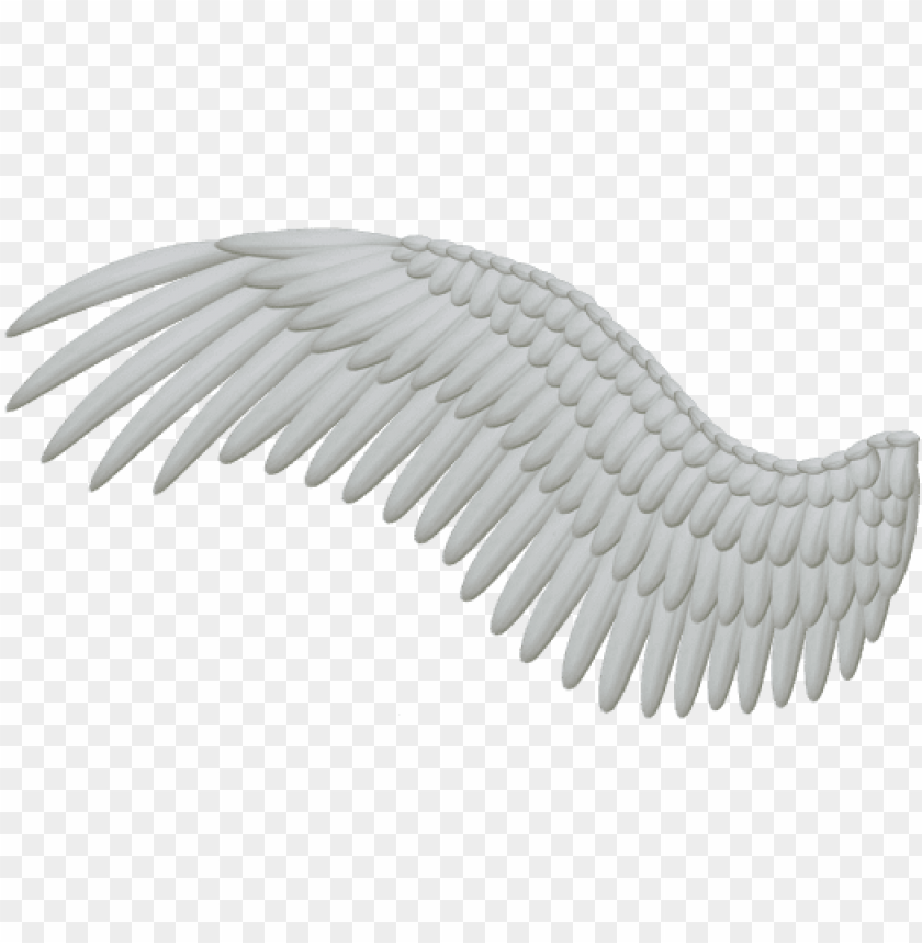 Detail Wings Transparent Background Nomer 4