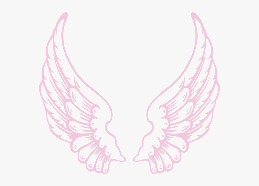 Detail Wings Transparent Background Nomer 39