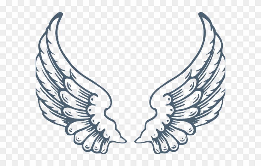Detail Wings Transparent Background Nomer 40